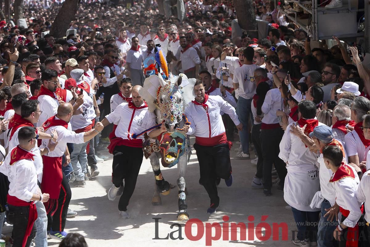 Así se ha vivido la carrera de los Caballos del Vino en Caravaca