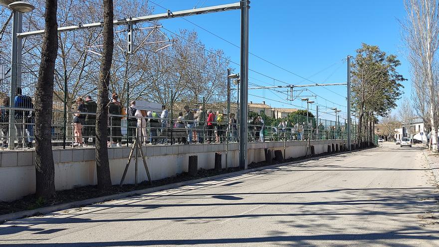 Polémica por la tala de árboles en la estación de tren de Sineu