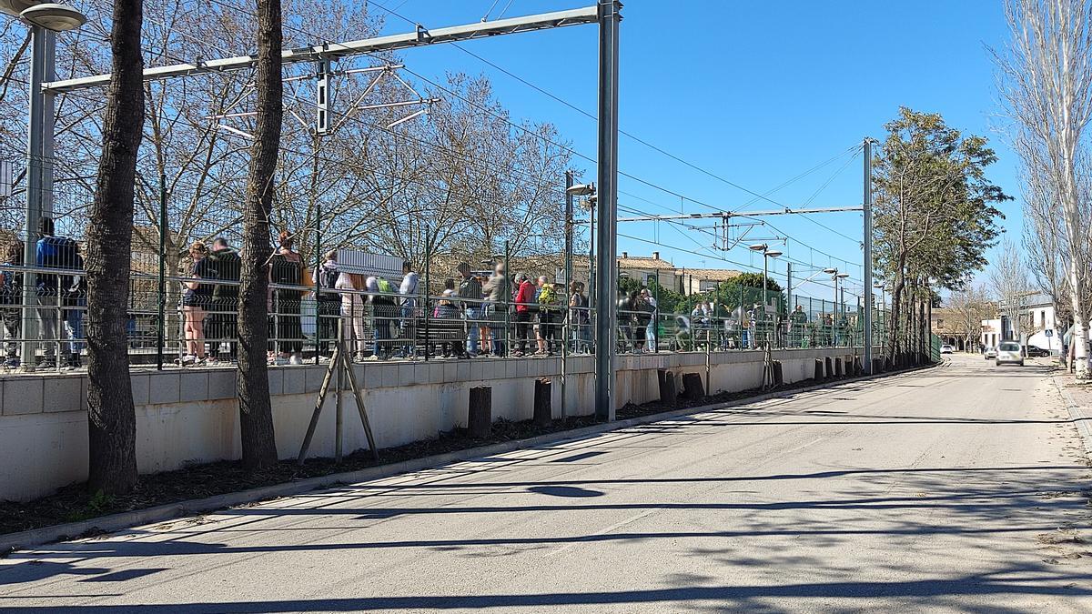 En la imagen se observan los troncos de los árboles que han sido eliminados por SFM en la estación de tren.