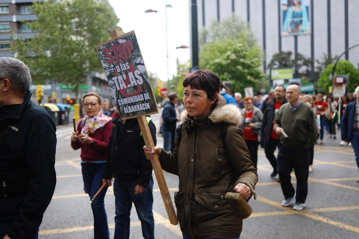 Fotogalería | Manifestación contra la tala masiva de árboles en los ...