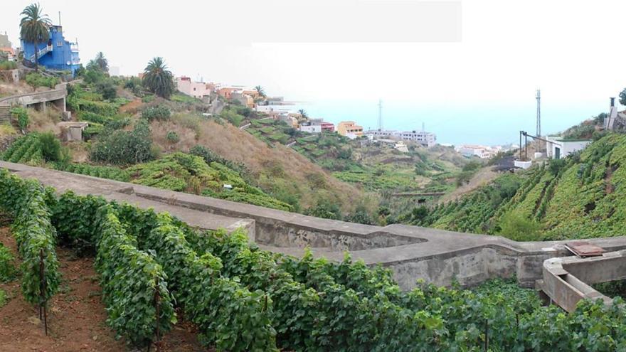Una parte del Canal del Norte, la mayor conducción de agua de Tenerife.