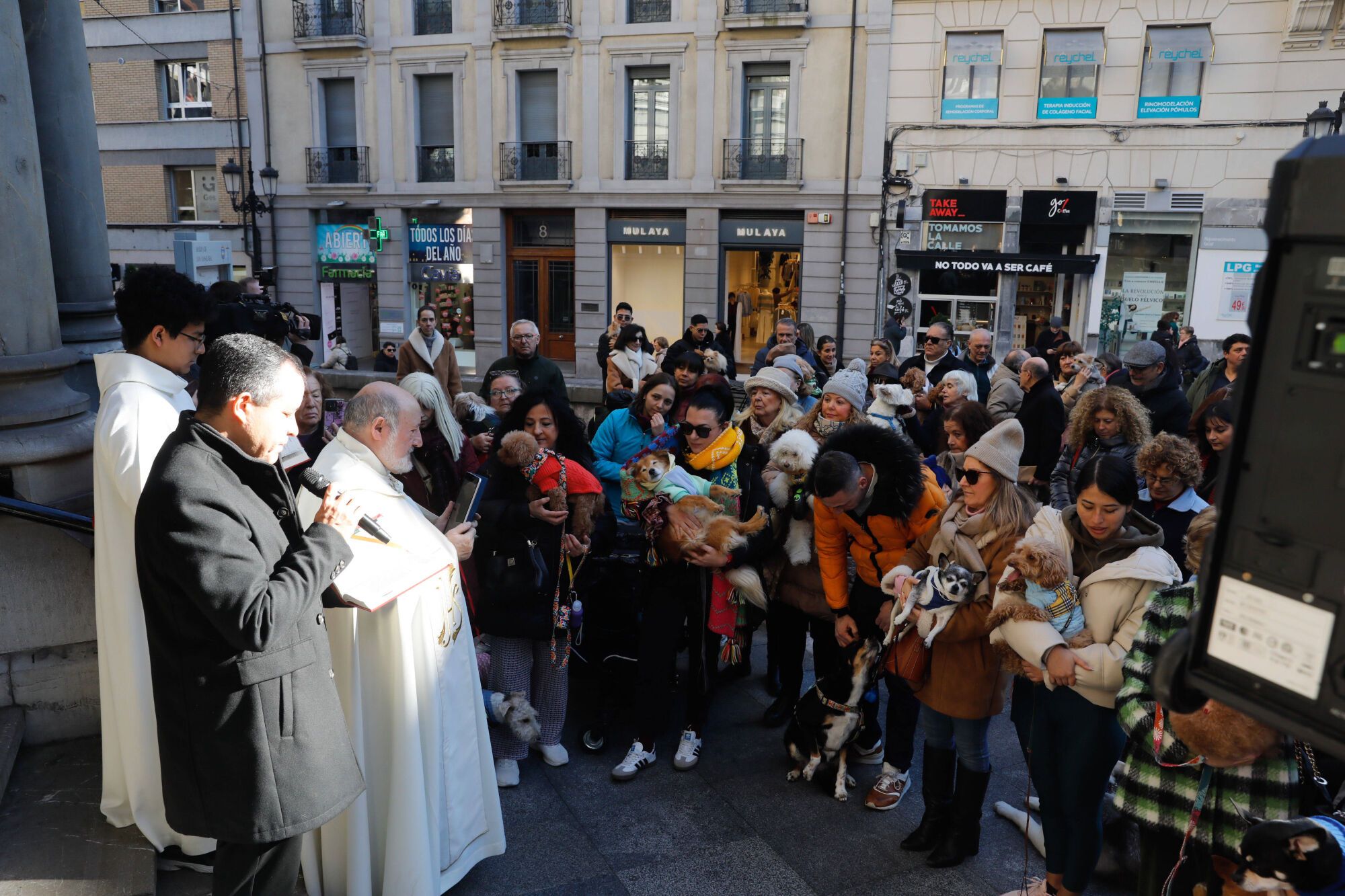 EN IMÁGENES: Bendición de mascotas por San Antón en la basílica de San Juan de Oviedo
