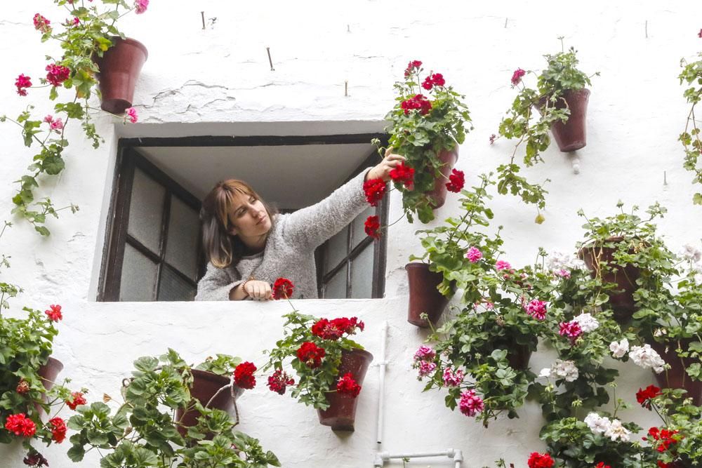 Los patios cordobeses, confinamiento interior por el coronavirus