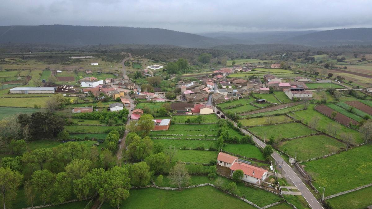 Montes del coto micológico de Alcañices.