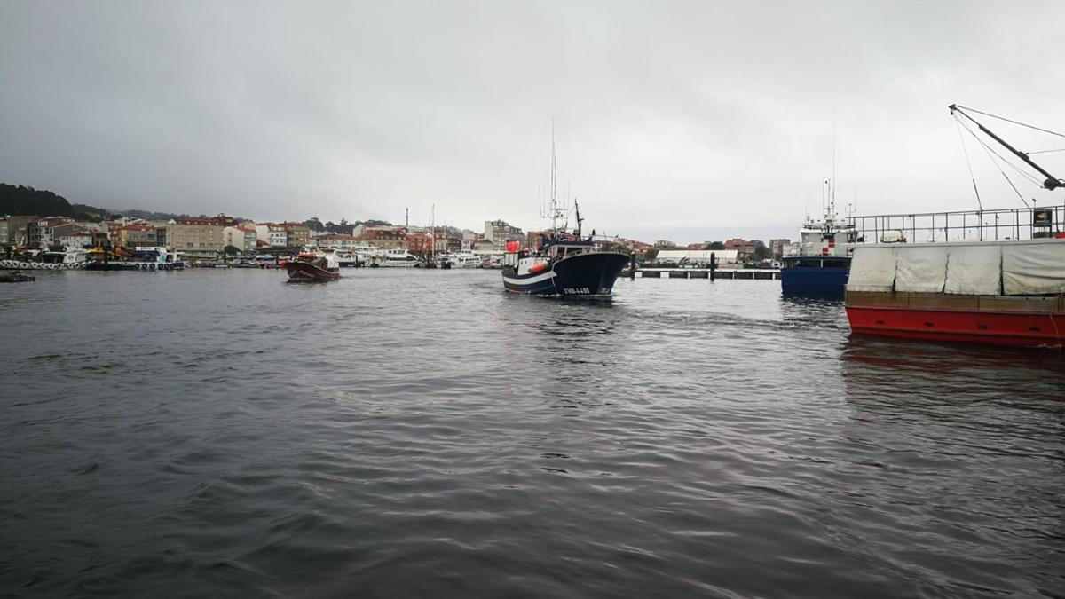 La flota ya pesca centollo