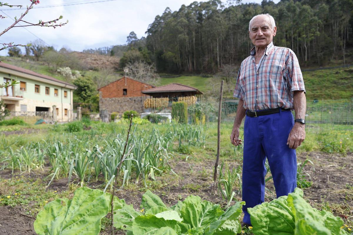 Ceferino Medina, junto a su huerta.
