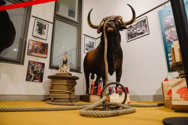 La exposición del Toro de Benavente en las Ventas, en imagenes
