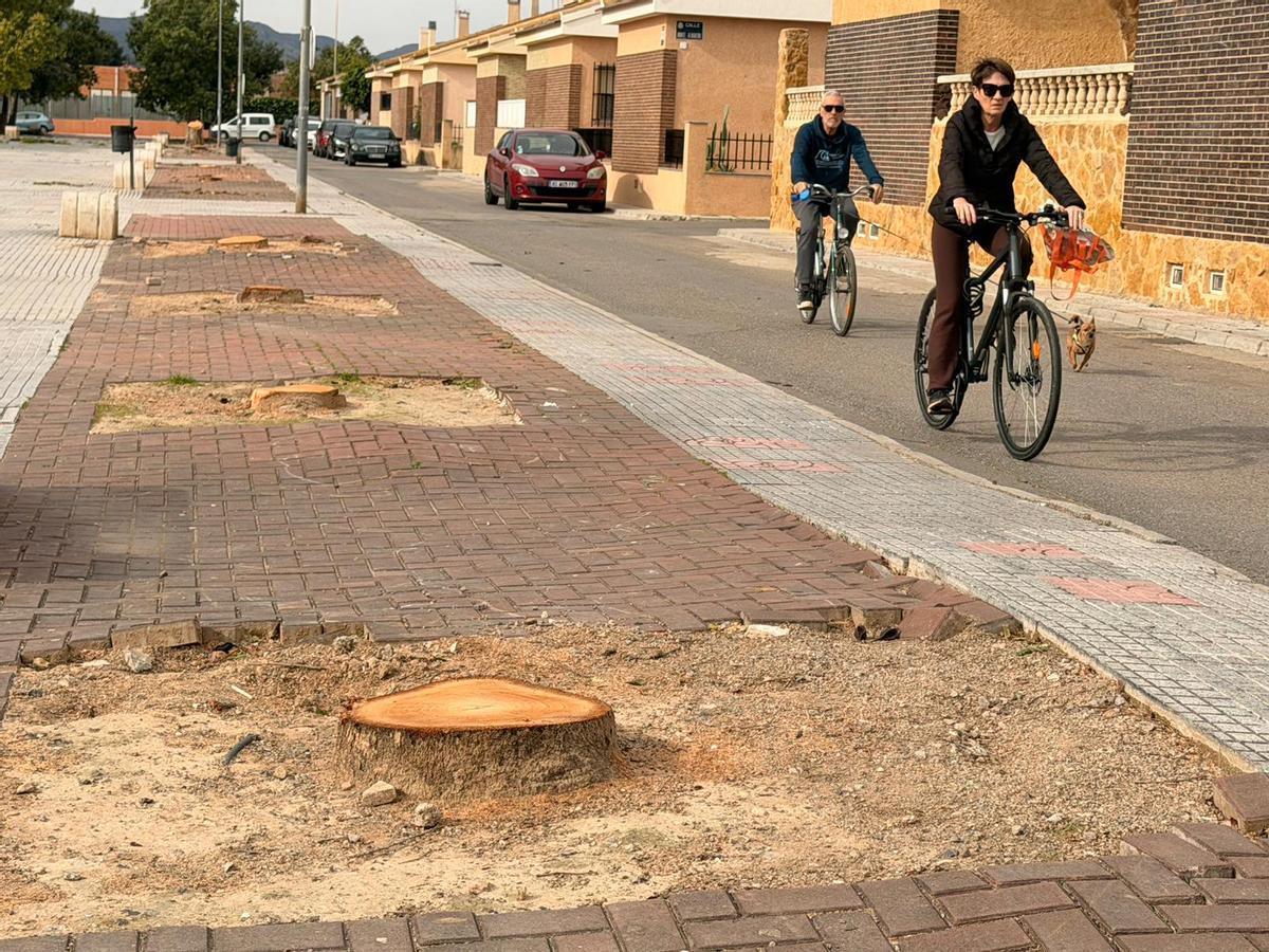 Dos personas pasean en bicicleta por uno de los bulevares que será renovado en la Nueva Cartagena
