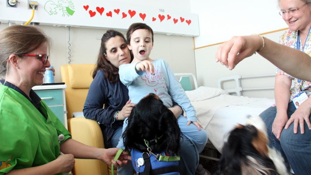 La Clàudia haciendo bailar la Bamba y la Pipa, dos de los perros de la Unidad funcional de intervenciones asistidas del Hospital Sant Joan de Déu