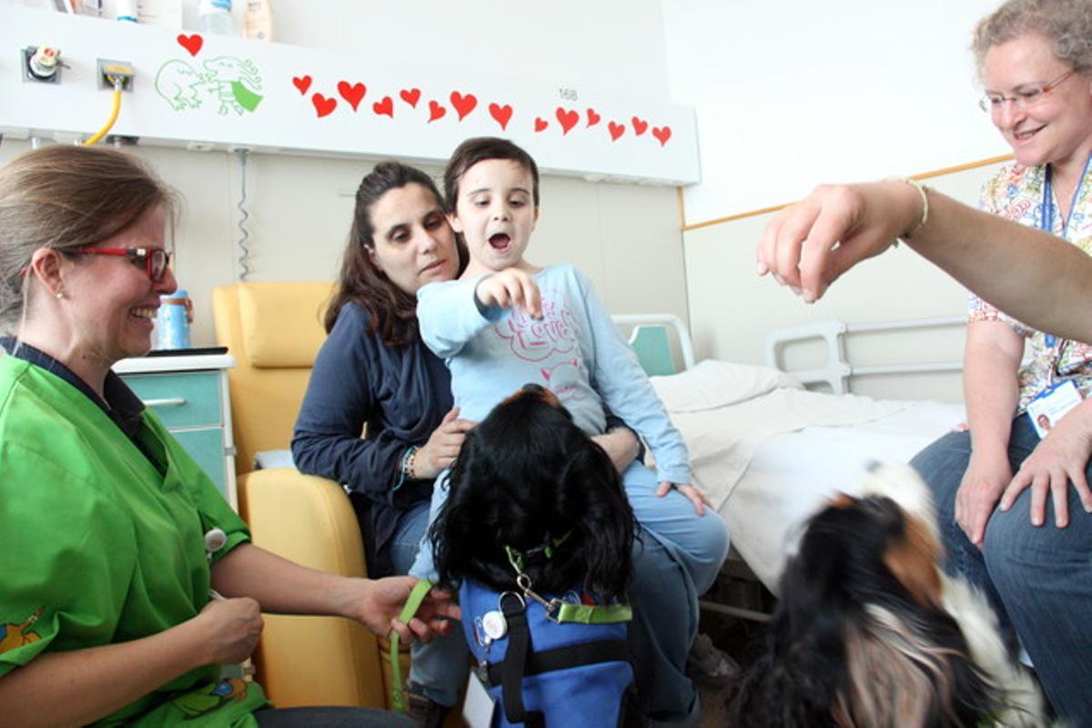 La Clàudia fa ballar la Bamba i la Pipa, dos dels gossos de la Unitat funcional d’intervencions assistides de l’Hospital Sant Joan de Déu La Clàudia fa ballar la Bamba i la Pipa, dos dels gossos de la Unitat funcional d’intervencions assistides de l’Hospital Sant Joan de Déu
