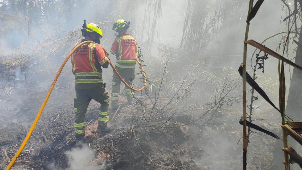 Medios aéreos trabajan en la extinción de un incendio en Estivella