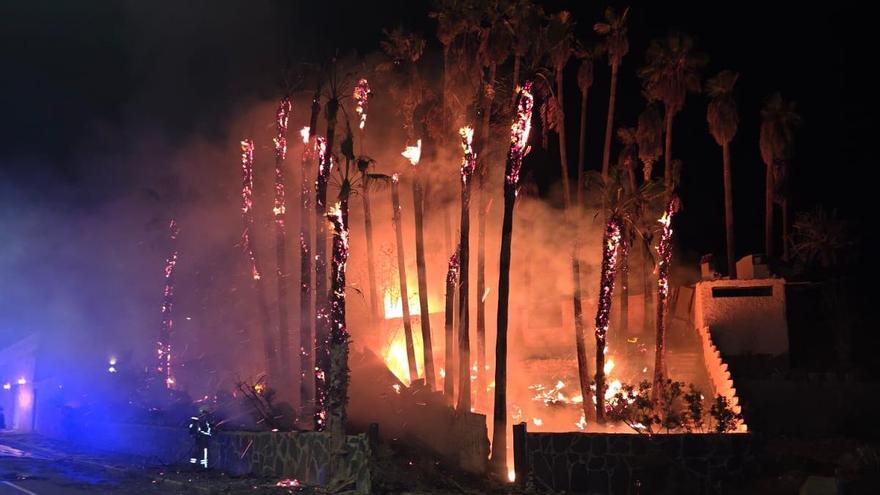 Incendio en un palmeral de Mogán