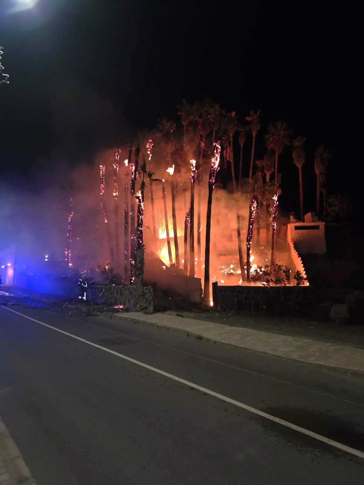 Incendio en un palmeral de Mogán