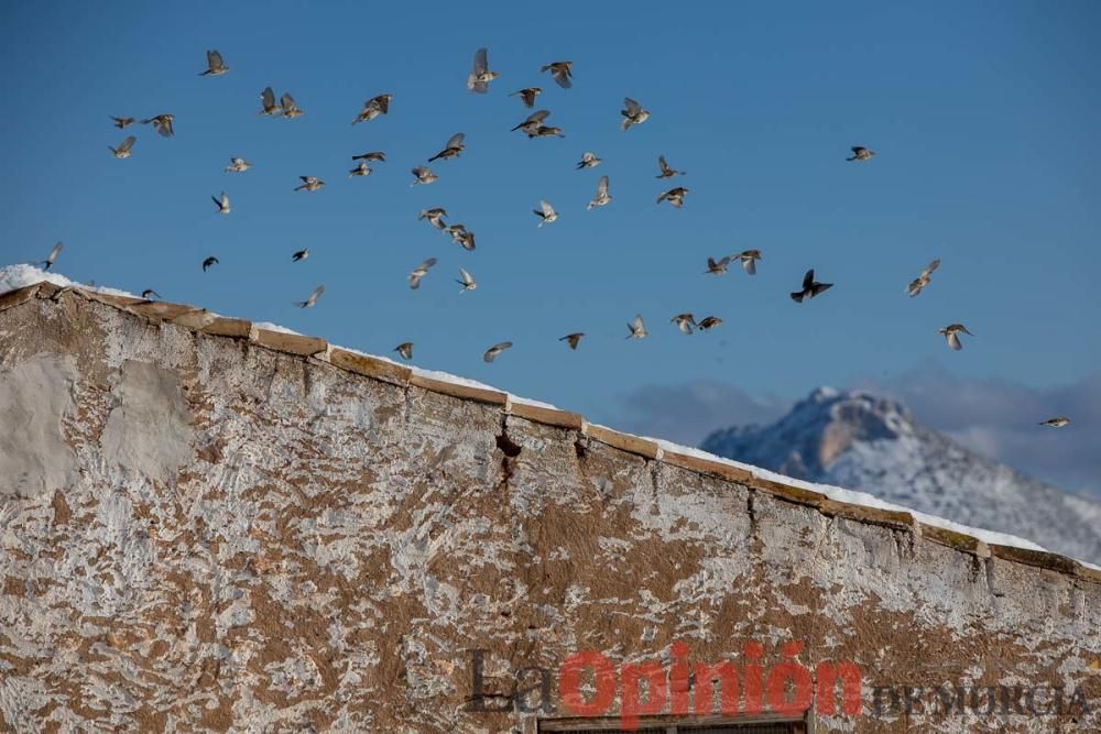 La nieve sigue siendo protagonista en el Noroeste