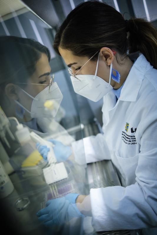 Una investigadora del Instituto de Enfermedades Tropicales de la ULL prepara unas muestras.