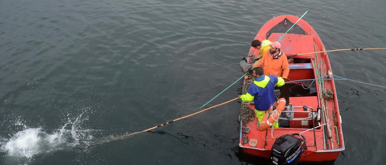 Una lancha de marisqueo en Os Lombos do Ulla