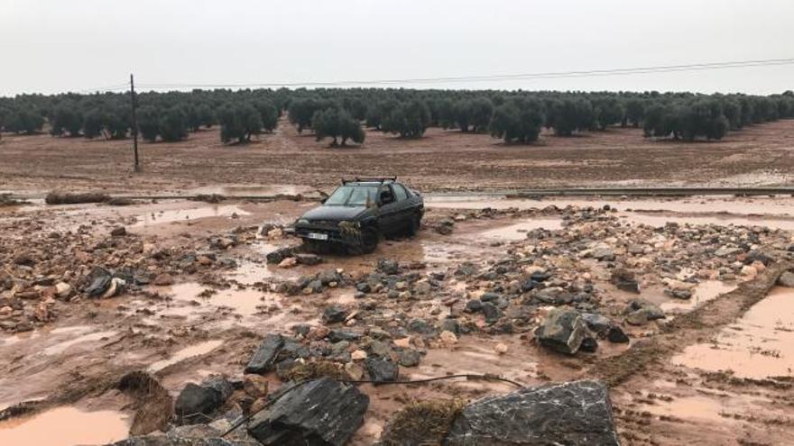 Ronda empieza a calcular los daños por las terribles lluvias que inundaron la localidad