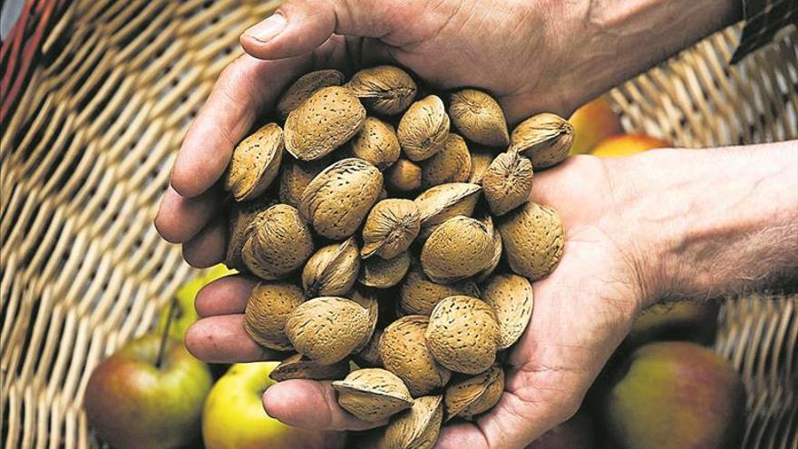 Recta final de las jornadas del aceite y los frutos secos