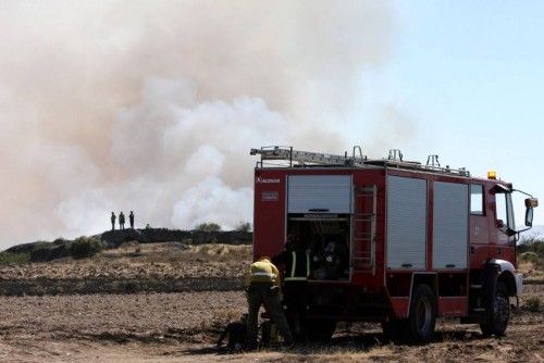 Un incendio arrasa parte de los Arribes en Villalcampo