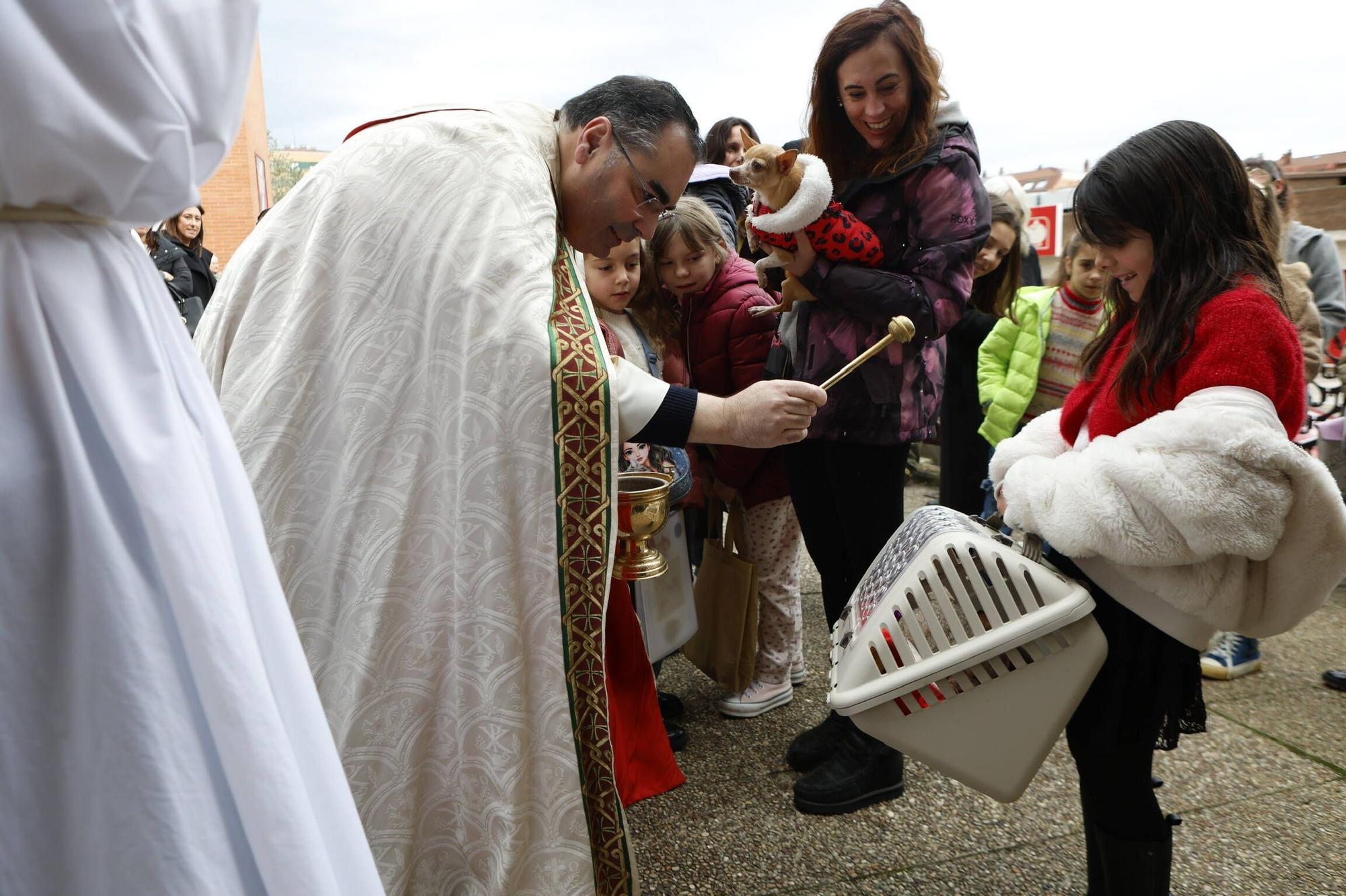 Bendición mascotas en Gijón en la parroquia de Viesques