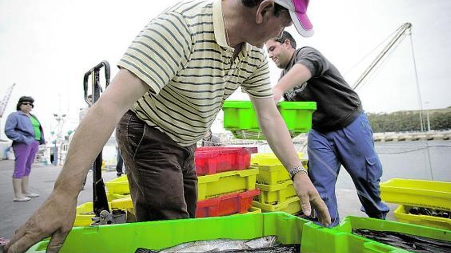 Pescadores descargando cajas de merluza en el puerto de Avilés.