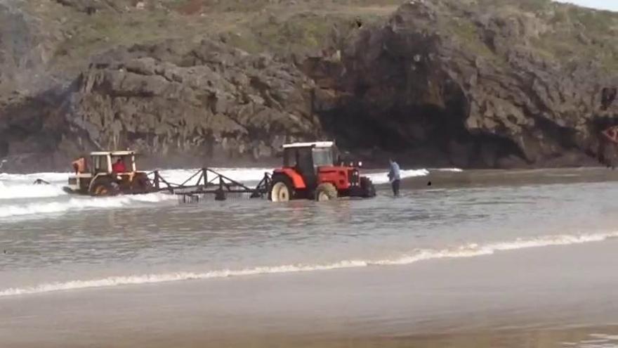 Un tractor encalla y se hunde en la playa de Barru cuando recogía ocle