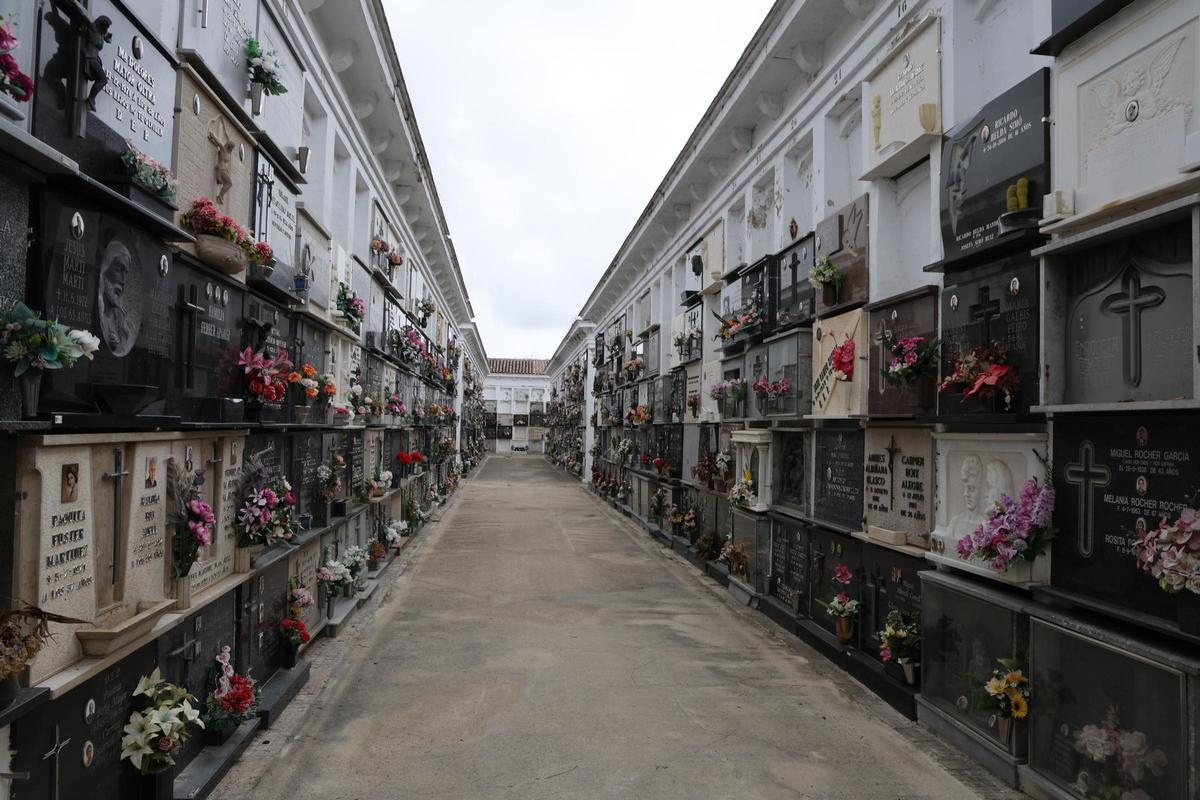 Los cuatro fusilados en Gandia ya identificados tenían entre 31 y 42 años: “Tras décadas de olvido, silencio y lucha, por fin podemos cerrar el círculo”