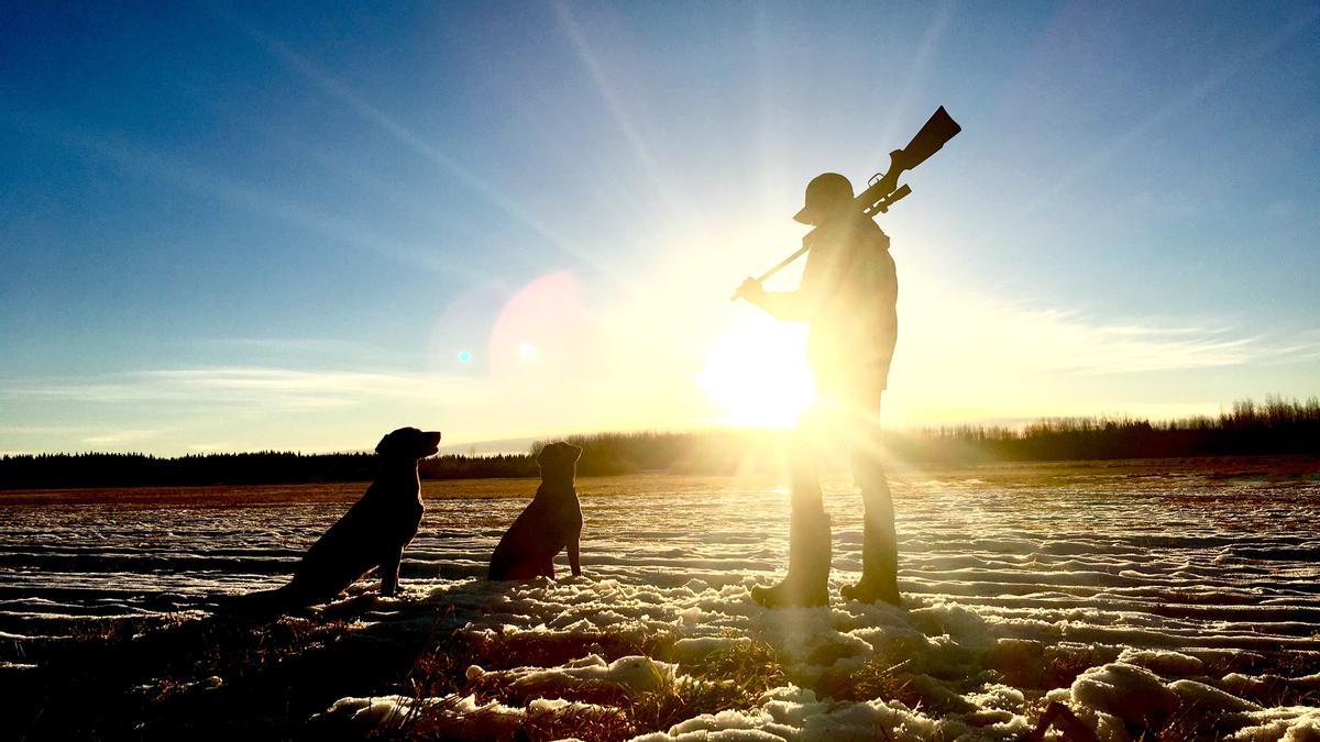 Un cazador con dos perros de caza.