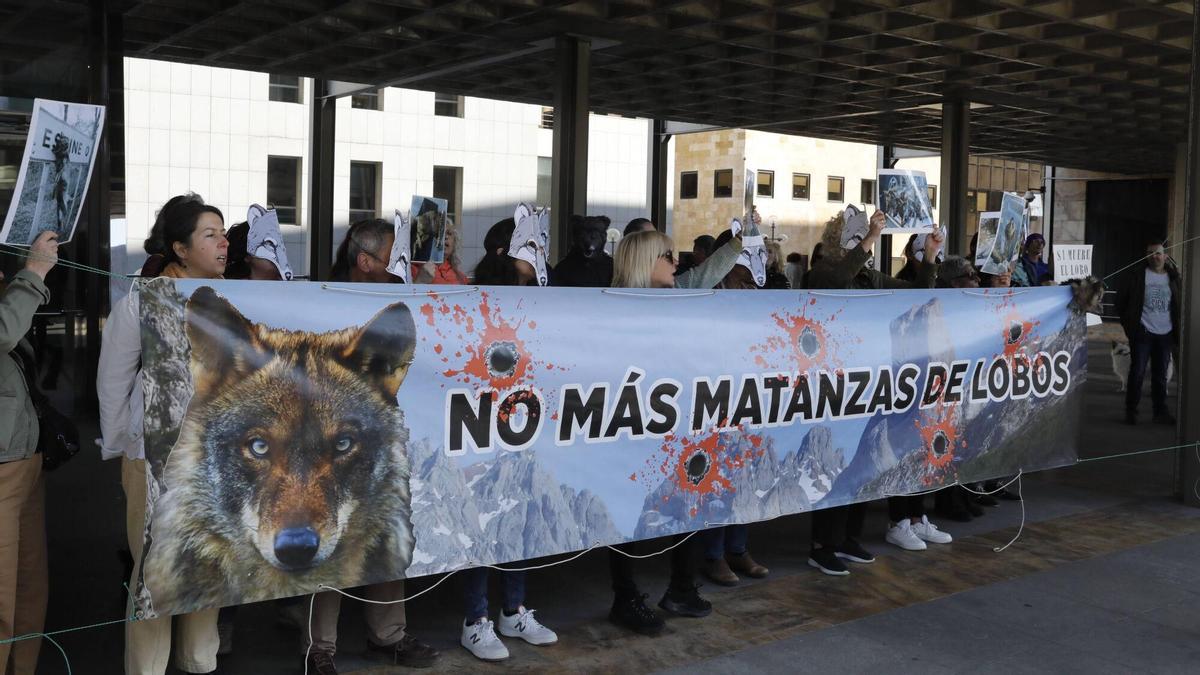 Grupos conservacionistas manifestándose ante la Consejería de Medio Rural.