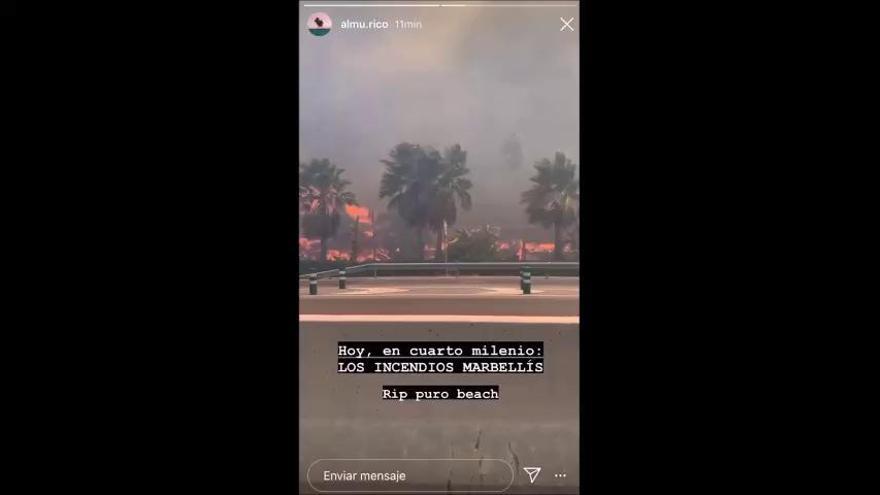 Incendio en la zona del río Padrón, en Estepona