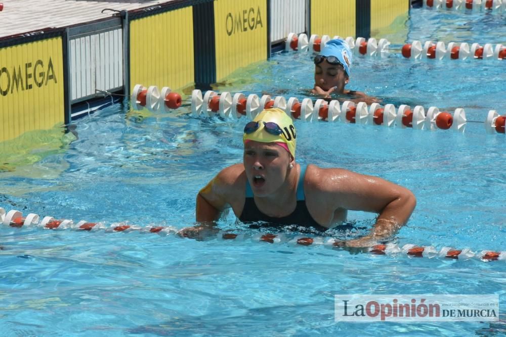 Final del Campeonato regional de natación.