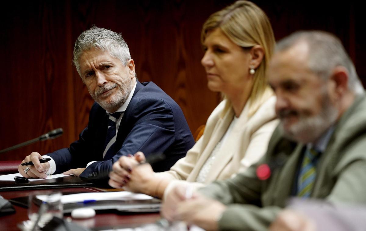 Fernando Grande Marlaska, ministro de Interior, durante su comparecencia en el Senado en la comisión de investigación sobre los contratos públicos realizados durante la pandemia de covid-19, relacionados con la intermediación de Koldo García