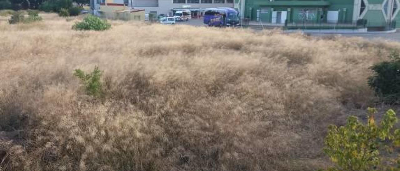 Zona donde se pretende construir el campo de fútbol.