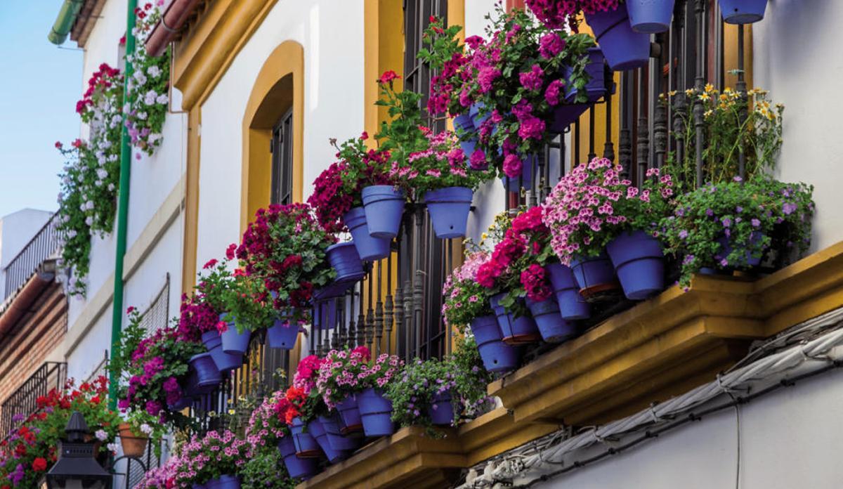 Córdoba: capital de la humanidad
