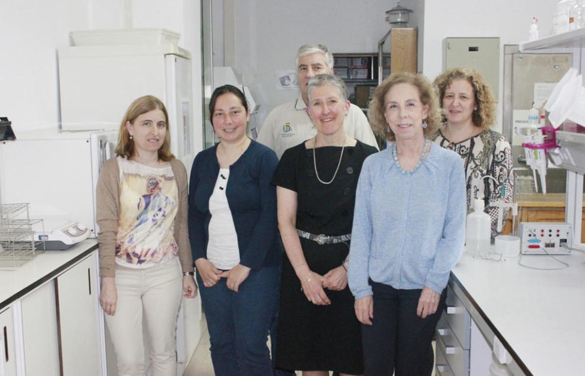 Investigadores gallegos logran los primeros eucaliptos cultivados in vitro