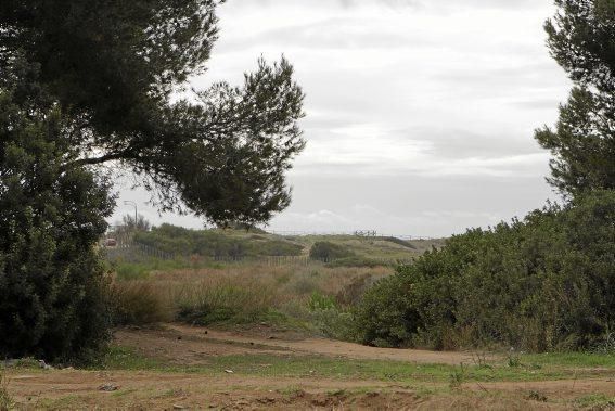 In Es Carnatge, dem letzten unverbauten Küstenabschnitt Palmas, aasten einst die Geier. Nun soll hier ein Park entstehen.