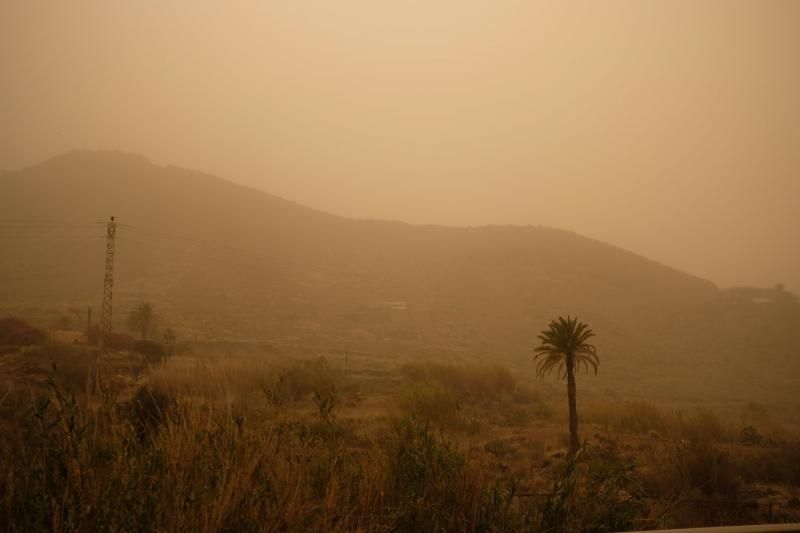 La Aldea - Agaete- Las Palmas de GC:. Incendio Tasarte y calima  | 23/02/2020 | Fotógrafo: José Carlos Guerra