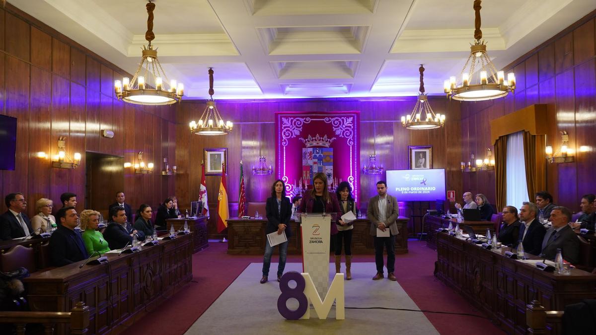 La Diputación de Zamora se tiñe de morado por el 8M