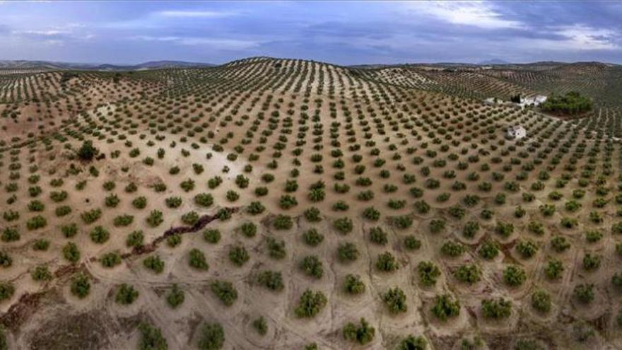 El precio del aceite en enero es el más alto desde el 2006