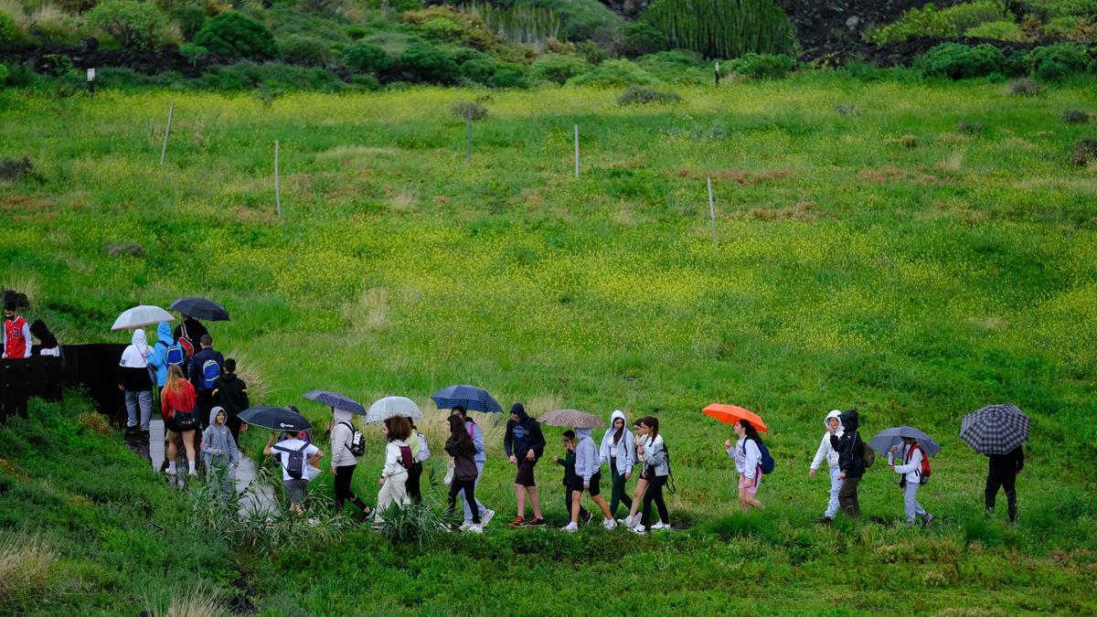 Un grupo de jóvenes bajo la lluvia de este jueves en el Valle de Agaete.