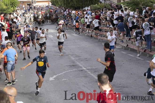 Las reses bravas de El Rellano protagonizan un encierro vibrante en Moratalla