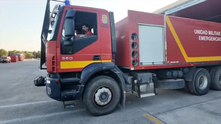 Así fue el rescate de Efi, la gata más famosa de Vigo