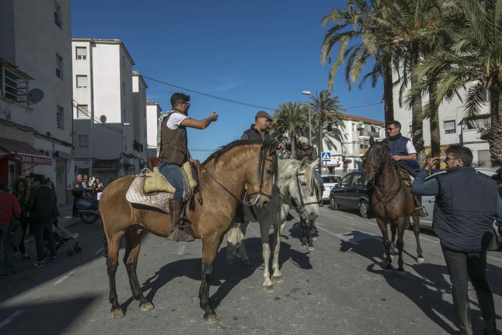 Celebración de San Antón en Elche