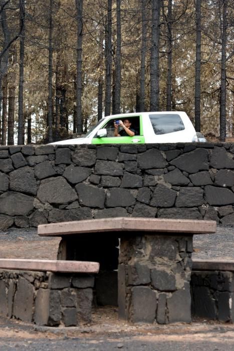 INCENDIO CUMBRE GRAN CANARIA