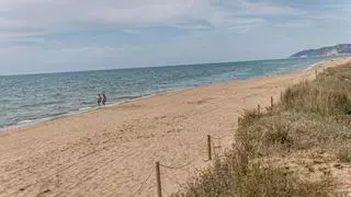El truco para quitarte bien la arena de la playa: muchos dicen que ya lo usaban
