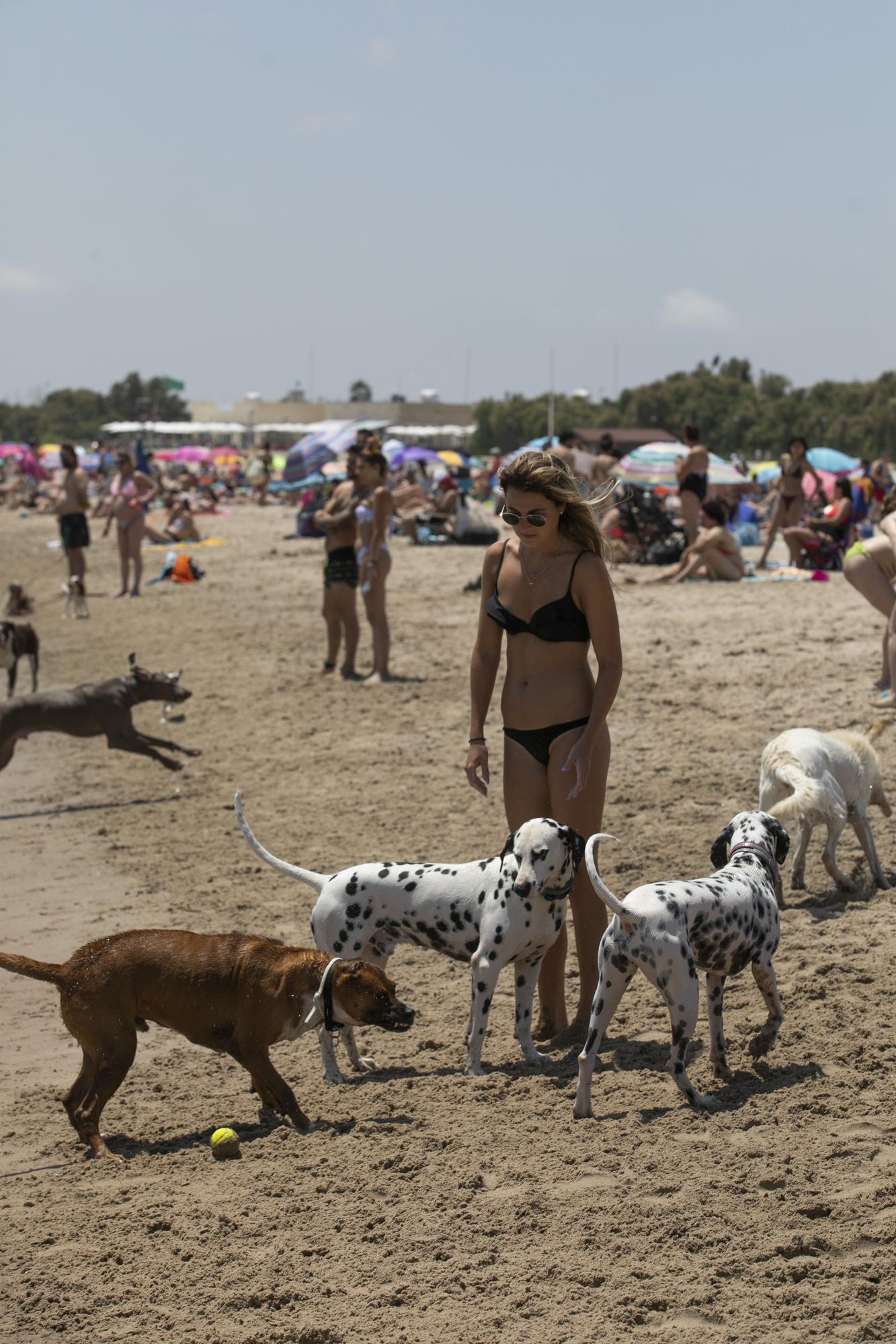 Playa canina de Pinedo