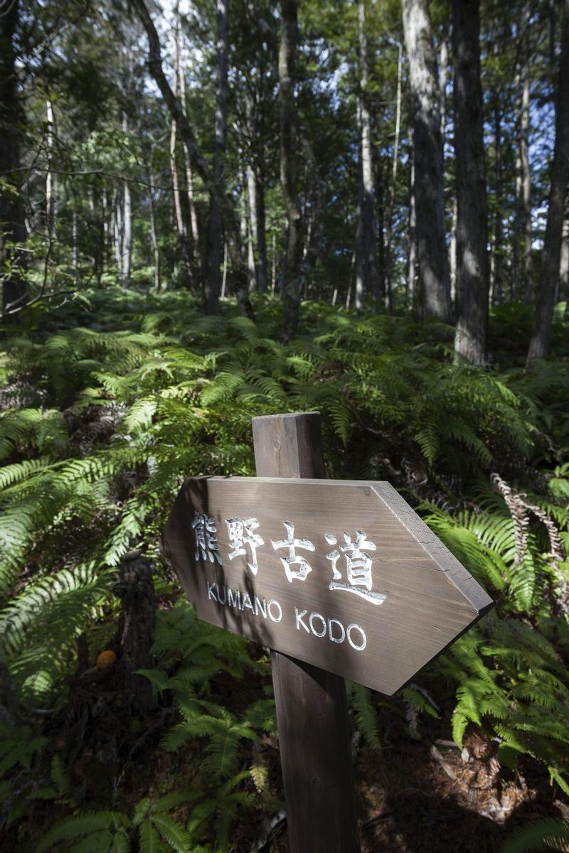 Señal del Camino de Kumano