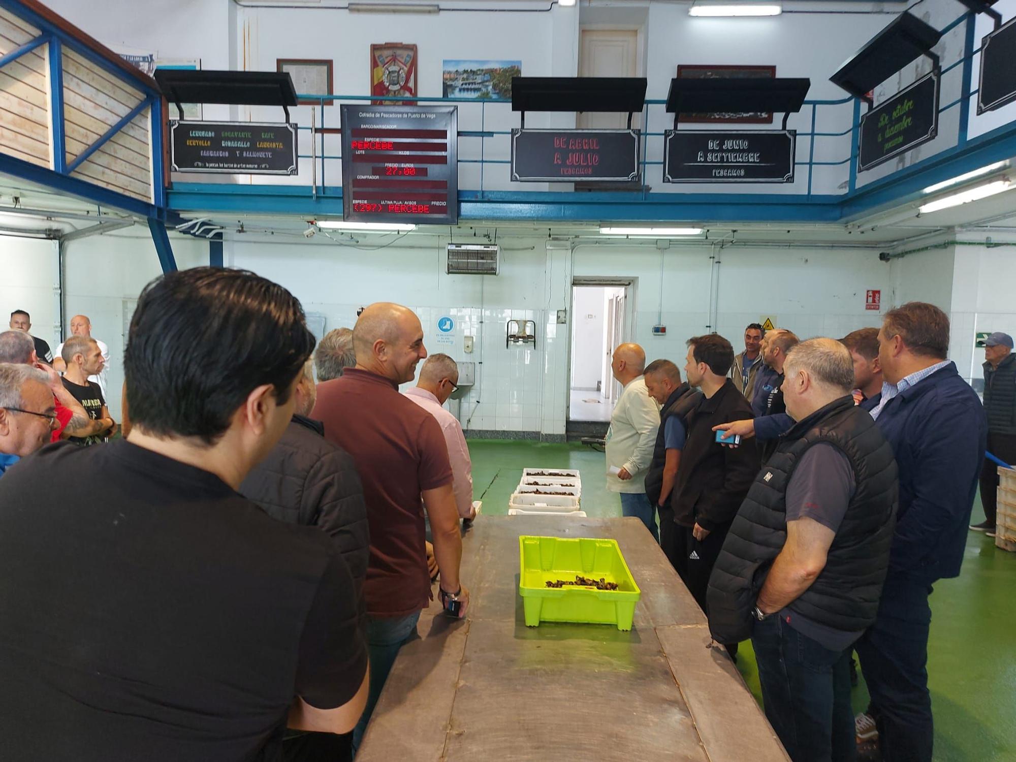 En imágenes: La primera subasta de percebe de la temporada en la rula de Puerto de Vega