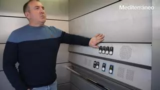 Los usuarios de perros de asistencia en Castelló logran el cambio legal que llevaban años esperando