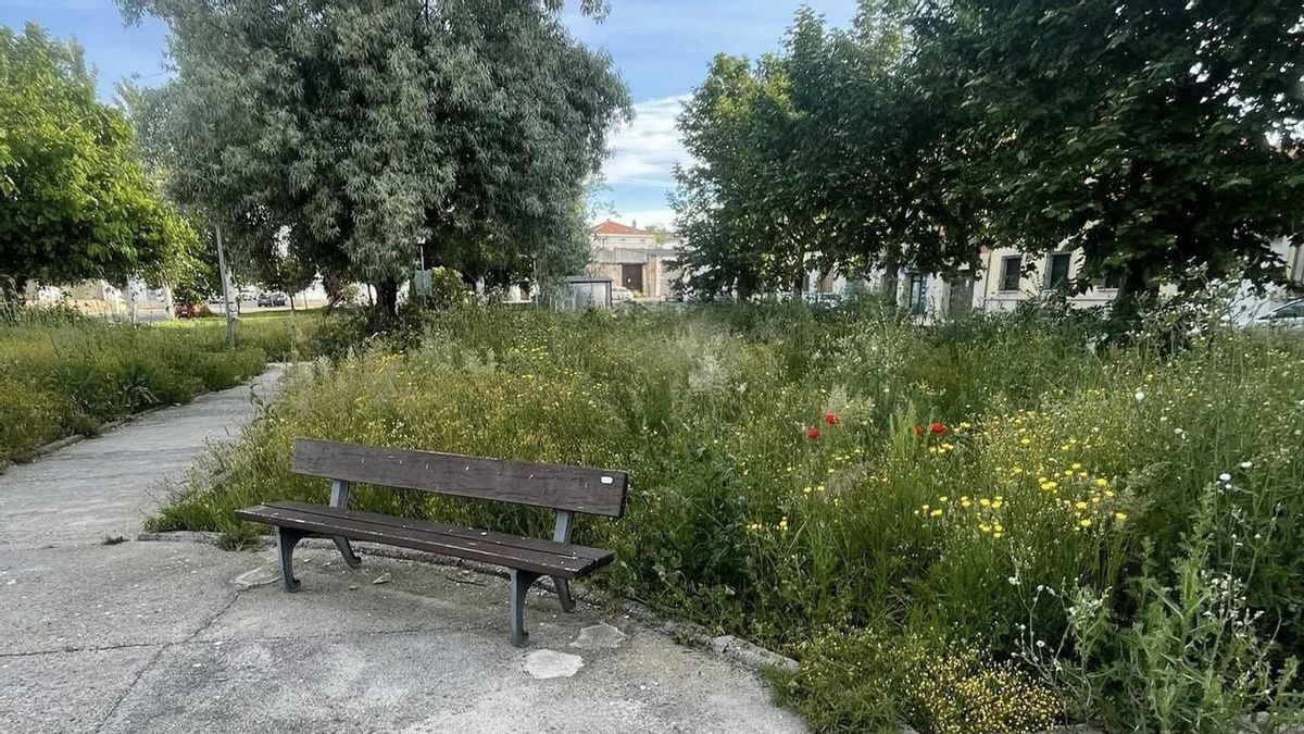 Plaza de Almagro, en Trujillo.